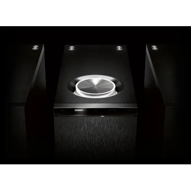Усилитель мощности Naim Statement NAP S1 L POWERAMP